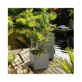 Vaso Lechuza 76 x 40 x 10 cm Grigio (1 Unità)