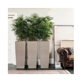 Vaso Lechuza 40 x 40 x 105 cm Plastica Rettangolare