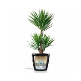 Vaso Lechuza Ø 60 cm