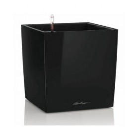Vaso Lechuza 36 x 36 x 40 cm Nero polipropilene Plastica