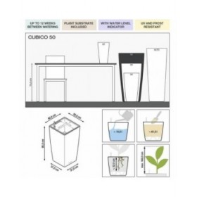 Vaso Lechuza 50 x 50 x 95 cm Rettangolare
