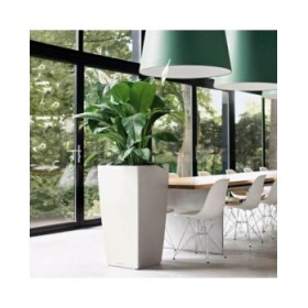 Vaso Lechuza 50 x 50 x 95 cm Rettangolare