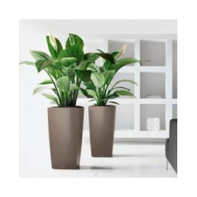 Vaso Lechuza 50 x 50 x 95 cm Rettangolare
