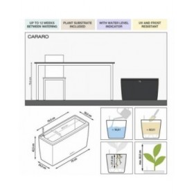 Vaso Lechuza 75 x 30 x 43 cm Plastica Rettangolare