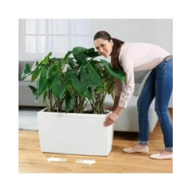 Vaso Lechuza 75 x 30 x 43 cm Plastica Rettangolare