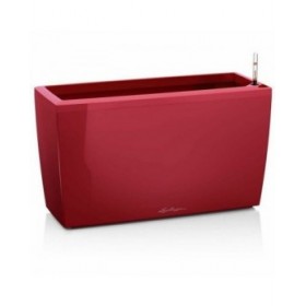 Vaso Lechuza 75 x 30 x 43 cm Plastica Rettangolare