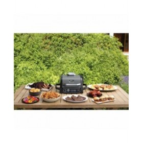 Barbecue Elettrico NINJA OG701EU Nero