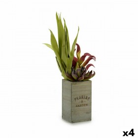 Pianta Decorativa Flowers Garden Marrone Verde 10 x 50 x 10 cm (4 Unità)