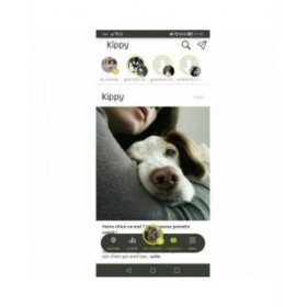 Localizzatore Anti-smarrimento KIPPY Giallo