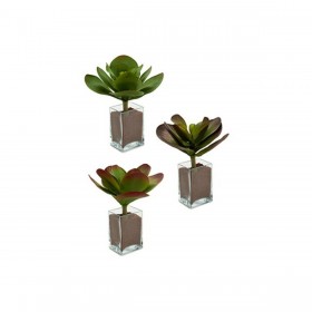 Pianta Decorativa Fogli Grande Bicolore Plastica 27 x 29 x 27 cm (6 Unità)