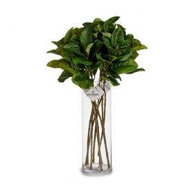 Ramo Plastica 80 cm Fogli (12 Unità)