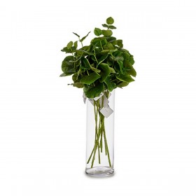 Ramo Plastica 75 cm Fogli (12 Unità)