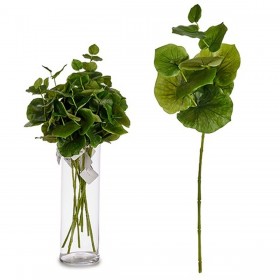 Ramo Plastica 75 cm Fogli (12 Unità)