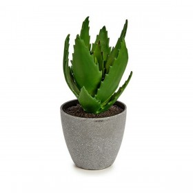 Pianta Decorativa Aloe Vera 14 x 21 x 14 cm Grigio Verde Plastica (6 Unità)