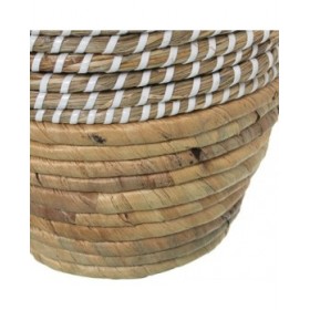 Vaso Alexandra House Living Erba marina 21 x 21 x 30 cm
