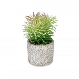 Pianta Decorativa Succulenta Legno Plastica 12 x 22 x 12 cm (8 Unità)
