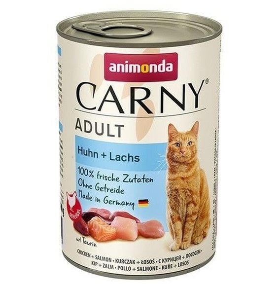 Ciotola per animali domestici polipropilene 32,5 x 10 x 46,5 cm (30 Unità)