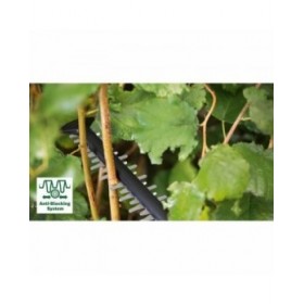 Tagliasiepi BOSCH 36 V