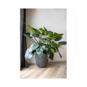 Vaso Capi Europe GROOVE NL Antracite Plastica 34 x 34 x 46 cm