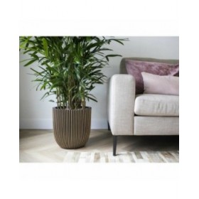 Vaso Capi Europe Dorato Plastica Rettangolare Ø 35 cm