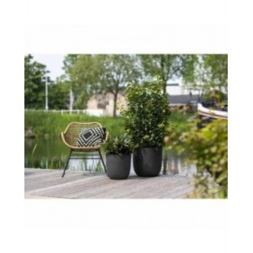 Vaso Capi Europe Nero Plastica Ø 35 cm