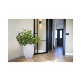 Vaso Capi Europe Beige Plastica Rotondo 34 x 34 x 46 cm