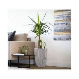 Vaso Capi Europe Beige Plastica Rotondo 34 x 34 x 46 cm