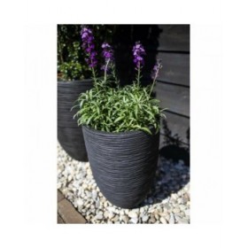 Vaso Capi Europe Nero Plastica Rotondo 34 x 34 x 46 cm