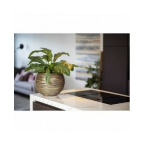 Vaso Capi Europe Dorato Plastica Rotondo Ø 40 cm