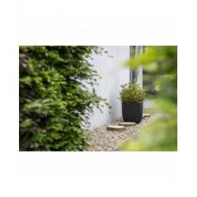 Vaso Capi Europe Nero Plastica Ø 43 cm