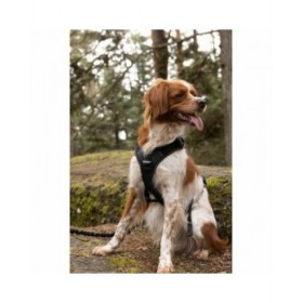 Imbracatura per Cani SYMBIOZ Nero L