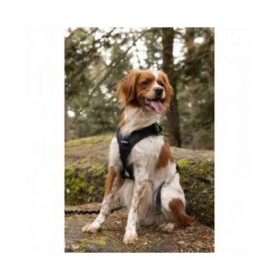 Imbracatura per Cani SYMBIOZ Nero XL