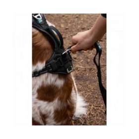 Imbracatura per Cani SYMBIOZ Nero XL