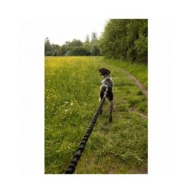Guinzaglio per Cani Nero XL