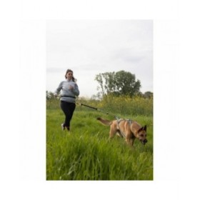 Guinzaglio per Cani Nero XL