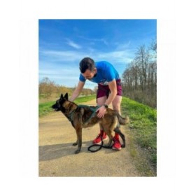 Imbracatura per Cani Olympia S