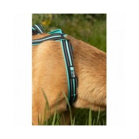 Imbracatura per Cani Olympia S