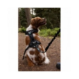 Imbracatura per Cani SYMBIOZ Nero S