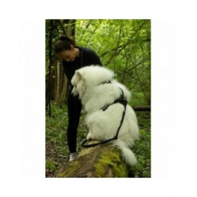 Imbracatura per Cani SYMBIOZ Nero S