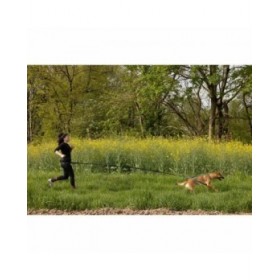 Guinzaglio per Cani Nero