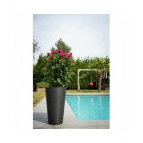 Vaso Garden ID