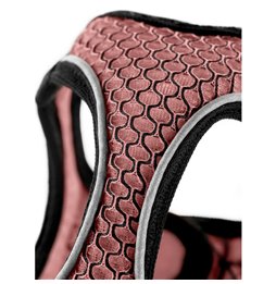Colla gel Porporina (24 Unità)