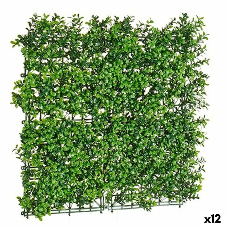 Kit per Giardino Verticale Verde 50 x 5 x 50 cm (12 Unità)
