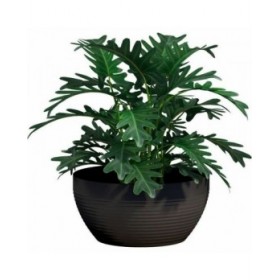Vaso Garden ID Nero 25 x 12 cm