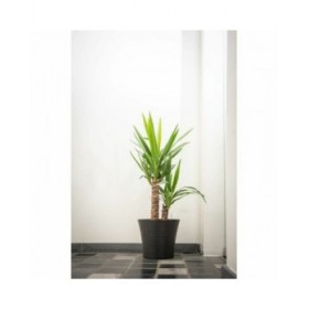Vaso Garden ID Nero 40 x 34 cm