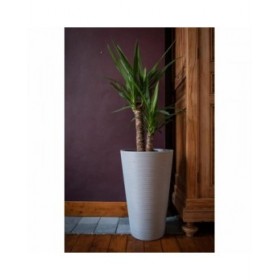 Vaso Garden ID