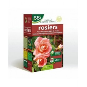 Fertilizzante organico BSI Long-Lasting Action 4 Kg