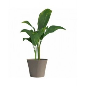 Vaso Garden ID