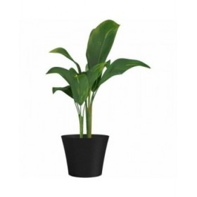 Vaso Garden ID