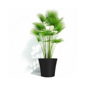 Vaso Garden ID